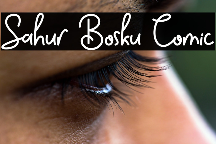 Sahur Bosku Comic Example 3