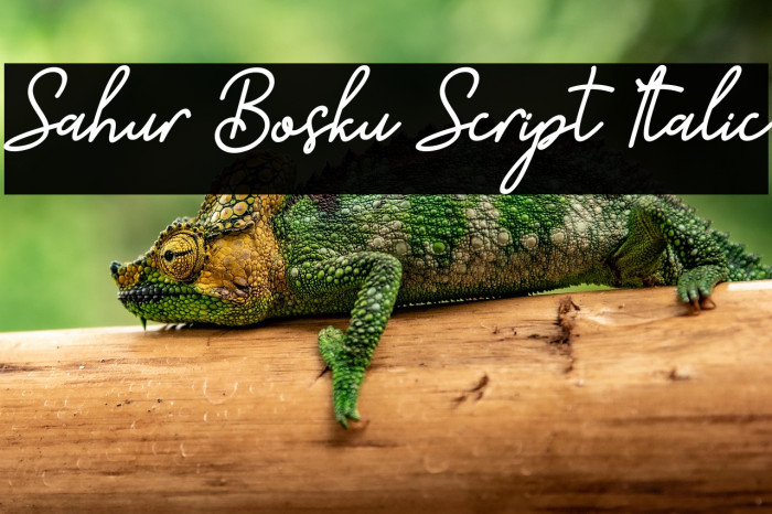 Sahur Bosku Script Italic Example 1