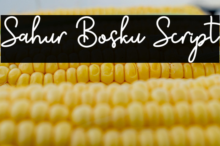 Sahur Bosku Script Example 3