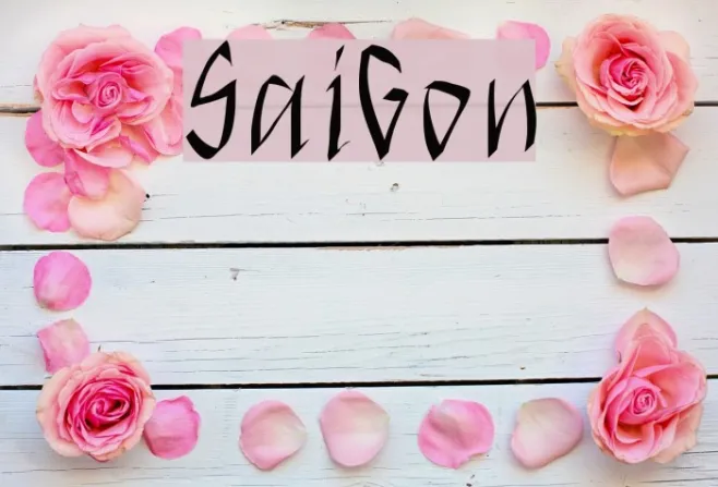 SaiGon Example 1
