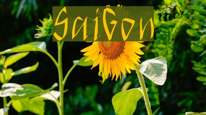 SaiGon Font examples