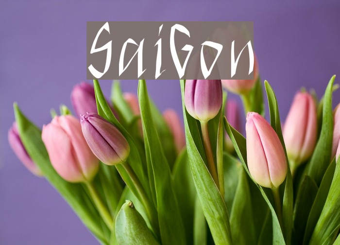 SaiGon Font examples