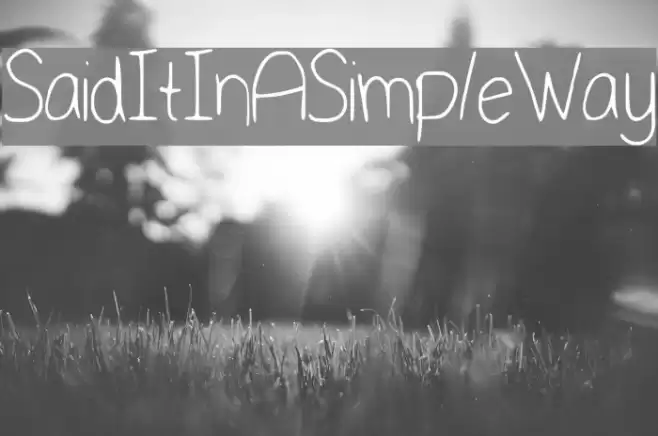 SaidItInASimpleWay Font examples