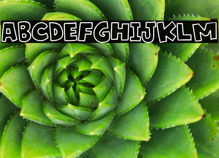 Saigon Melon Outline Caratteri examples