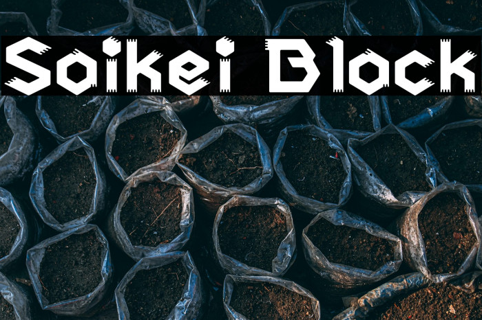 Saikei Black Example 2