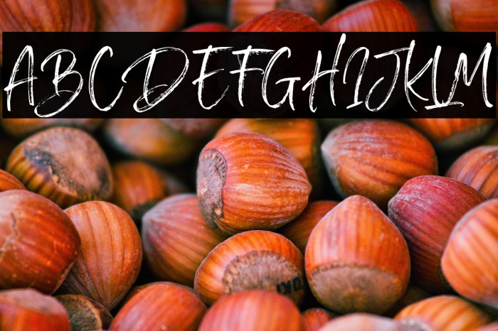 SailRoyals Example 1