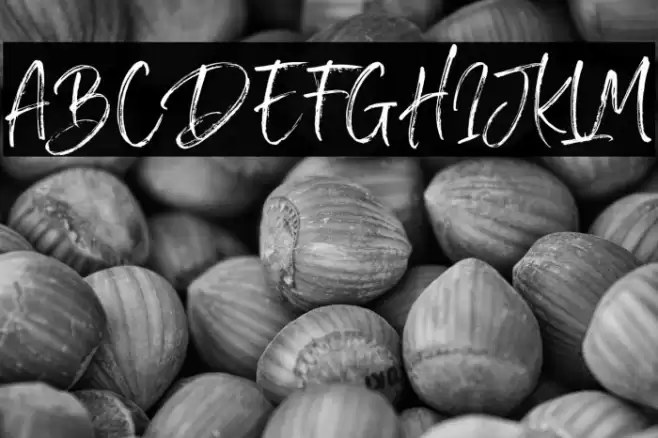 SailRoyals Font examples