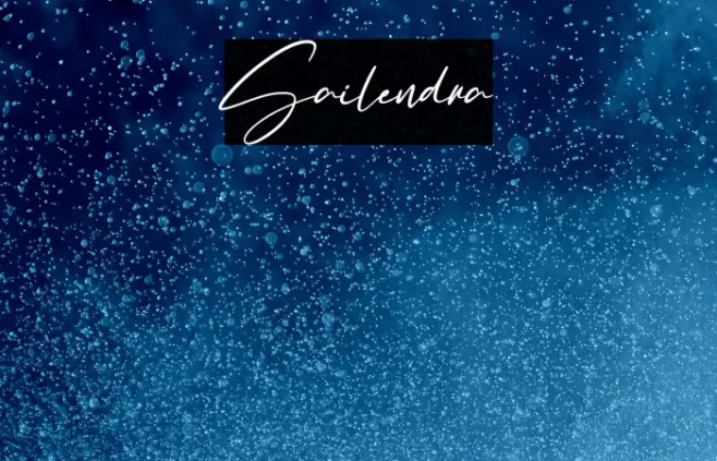 Sailendra Example 2