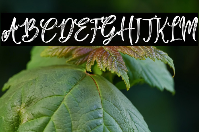 Sailing Heart Example 3