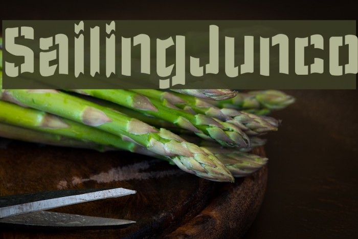 SailingJunco Font examples