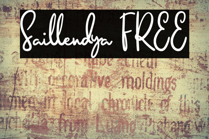 Saillendya FREE Example 1