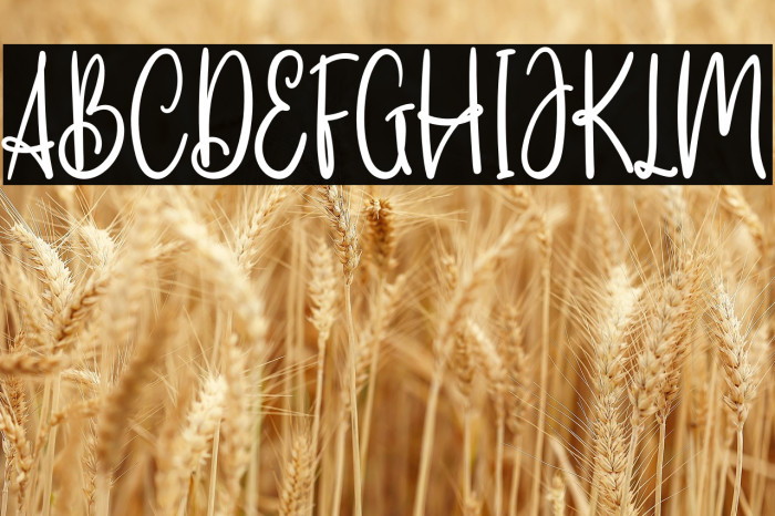 SaillendyaFREE Example 1