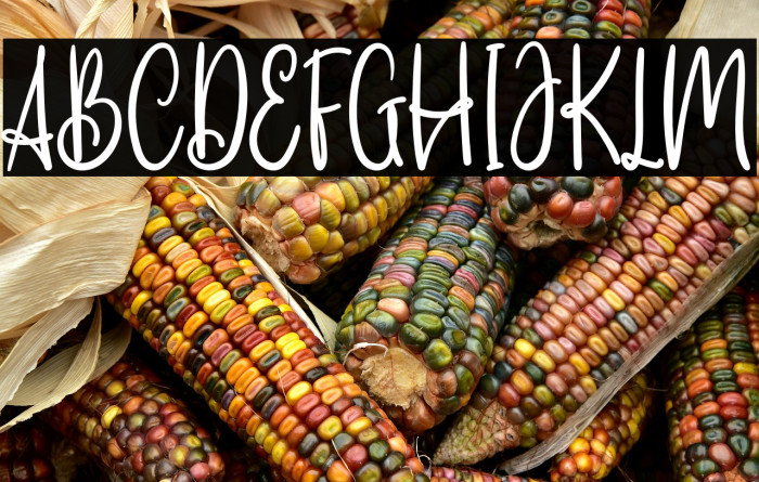 SaillendyaFREE Example 2