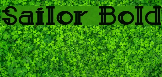 Sailor Bold Example 1
