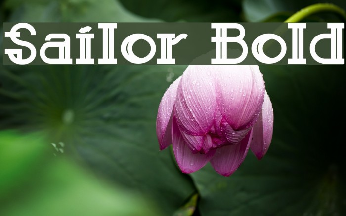 Sailor Bold Font examples