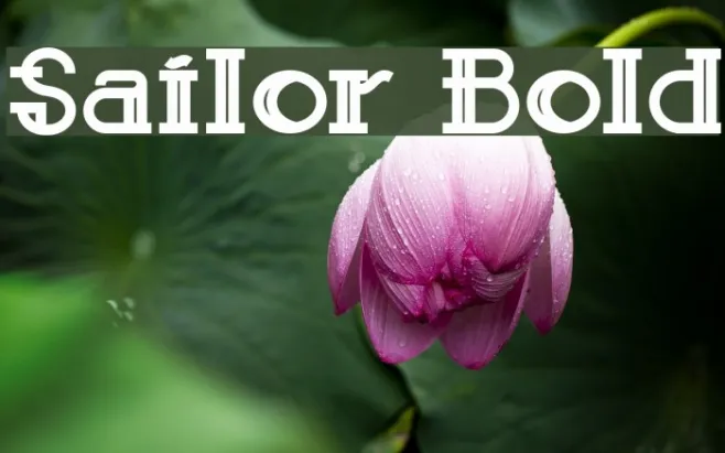 Sailor Bold Example 2