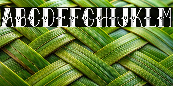 Sailor Larry - Extra Fancy Example 2