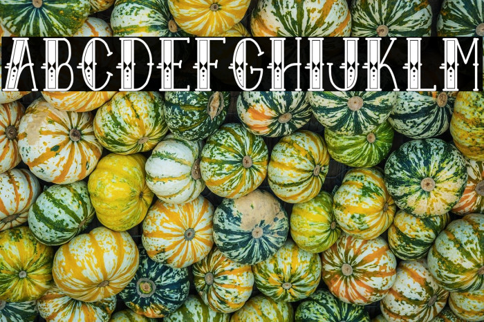 Sailor Larry - Extra Fancy Example 3