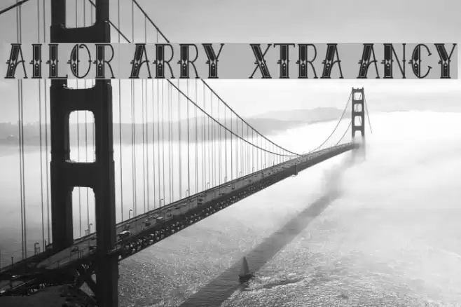 Sailor Larry - Extra Fancy Polices examples