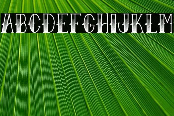 Sailor Larry - Fade Example 1