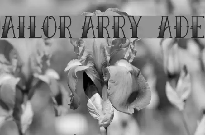 Sailor Larry - Fade フォント examples