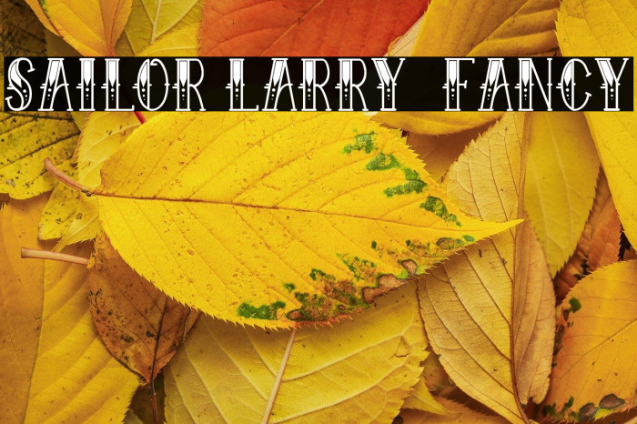 Sailor Larry - Fancy Example 1