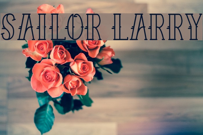 Sailor Larry Font examples