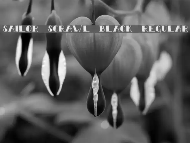 Sailor Scrawl Black Regular Schriftart examples