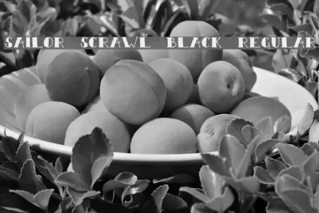 Sailor Scrawl Black Regular Schriftart examples