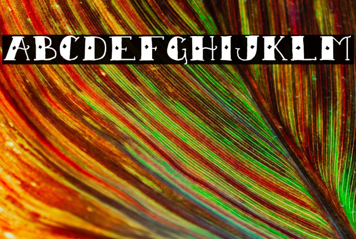 Sailor Scrawl Regular Example 3