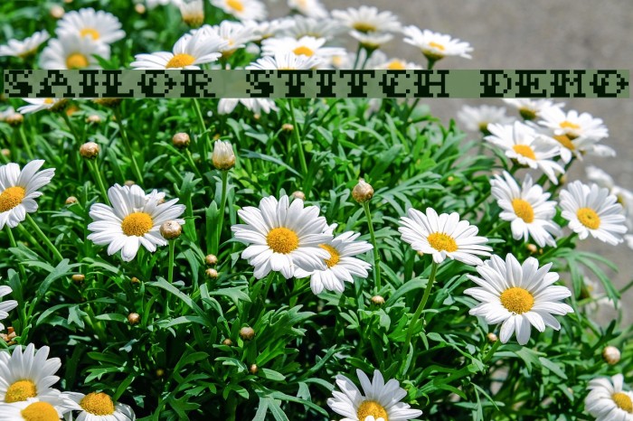 Sailor Stitch Demo Example 1