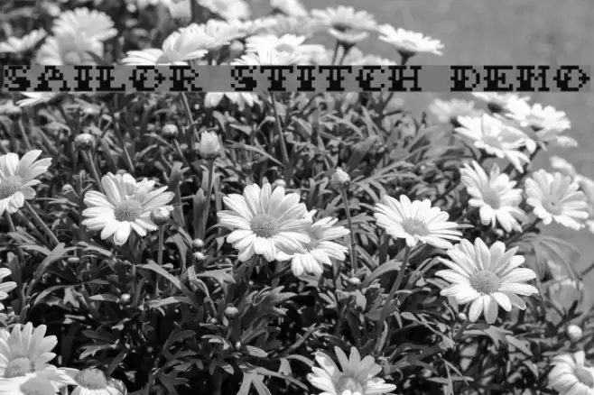 Sailor Stitch Demo Font examples