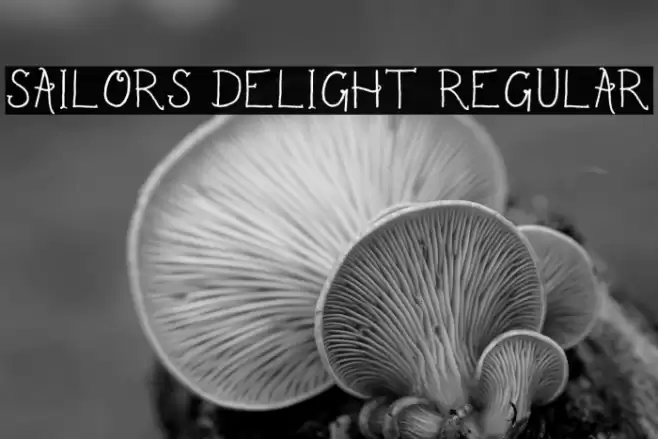 Sailor's Delight Regular フォント examples