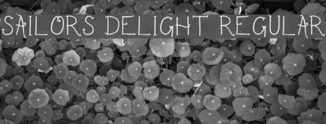 Sailor's Delight Regular Font examples