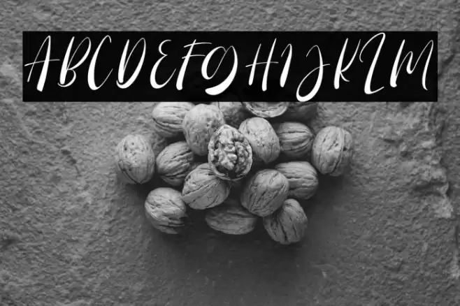 SailritmeDEMO Font examples