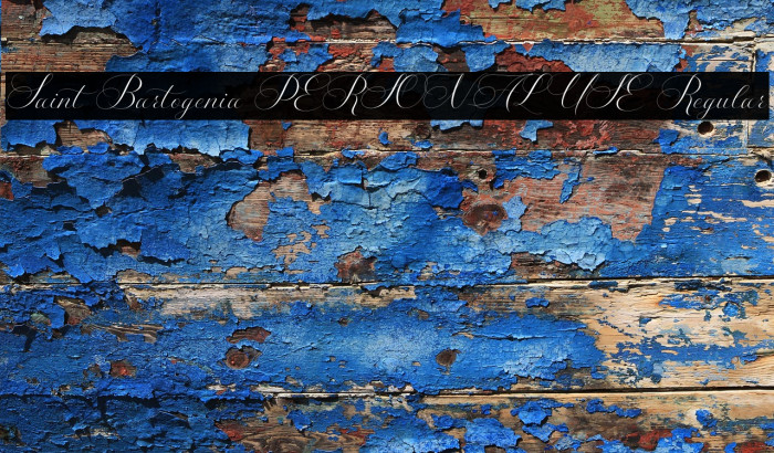 Saint Bartogenia PERSONAL USE Regular Example 1