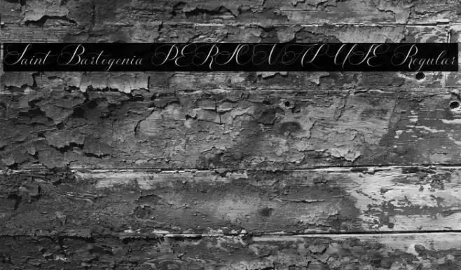 Saint Bartogenia PERSONAL USE Regular Font examples