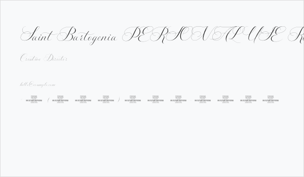 Saint Bartogenia PERSONAL USE Regular Business Card