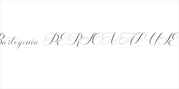 Saint Bartogenia PERSONAL USE Regular Logo