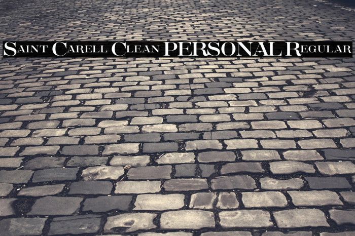 Saint Carell Clean PERSONAL Regular Example 1