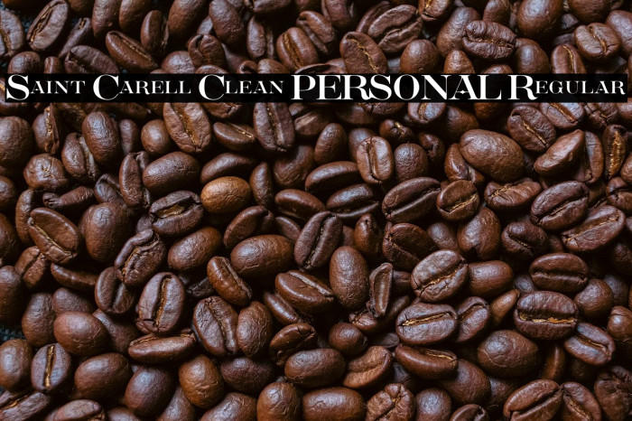 Saint Carell Clean PERSONAL Regular Example 2