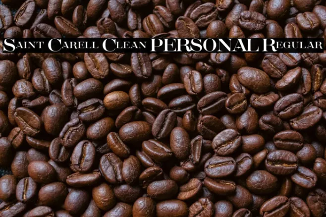 Saint Carell Clean PERSONAL Regular Example 2