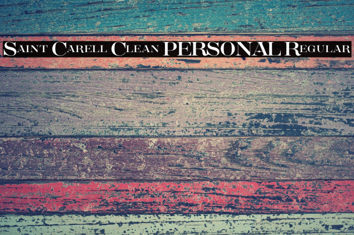 Saint Carell Clean PERSONAL Regular Example 3