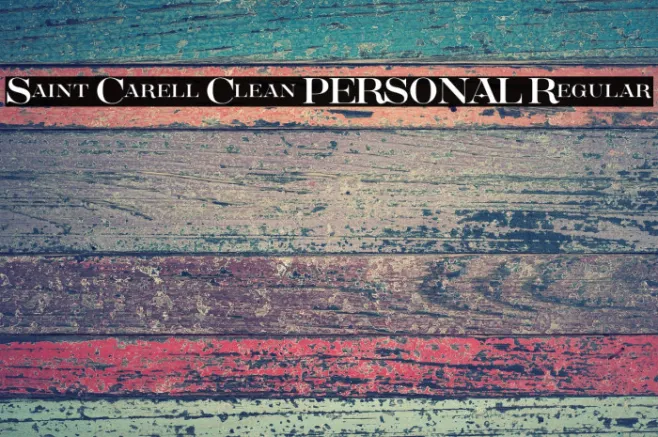 Saint Carell Clean PERSONAL Regular Example 3