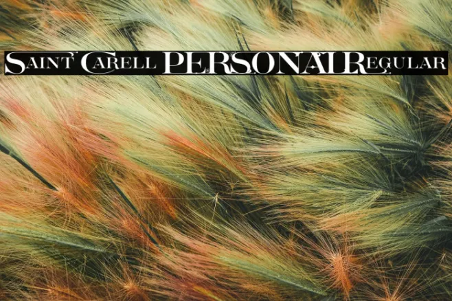 Saint Carell PERSONAL Regular Example 3