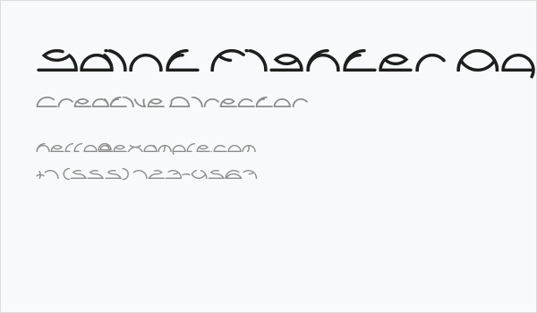 Saint Fighter Aqua Bold Business Card