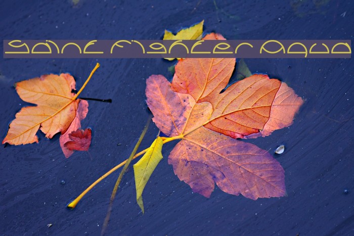 Saint Fighter Aqua Example 3