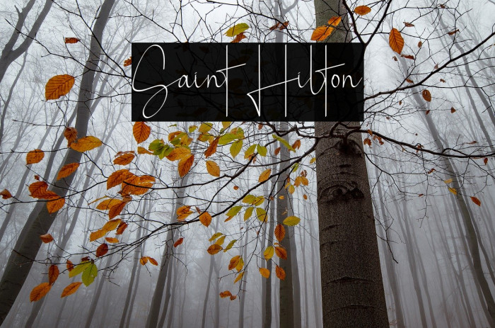 Saint Hilton Font examples