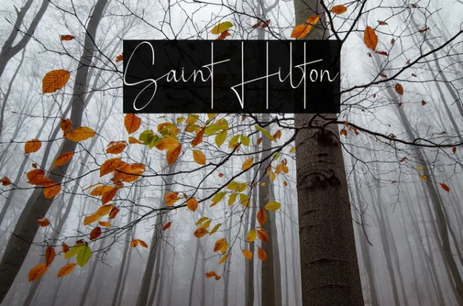Saint Hilton Example 1
