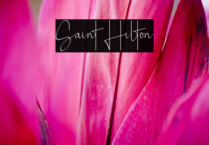 Saint Hilton Font examples